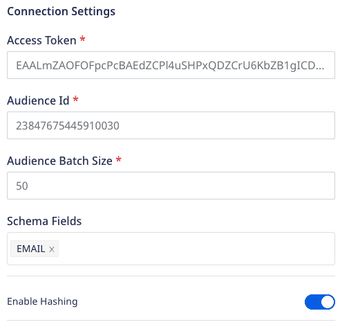 Fb custom audience connection settings 1